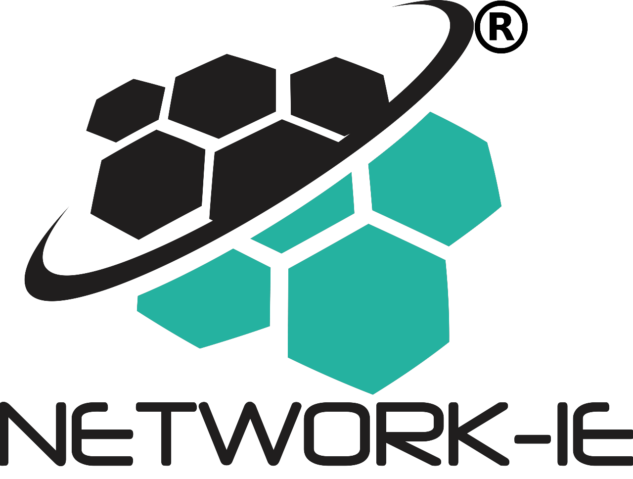 Network-IE Infosystems Pvt. Ltd.